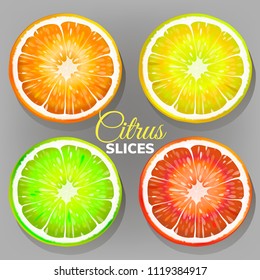 Set of slices of citrus fruits. Vector illustration.