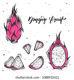 Set of slices of dragon fruit in doodle style. Exotic fruit.