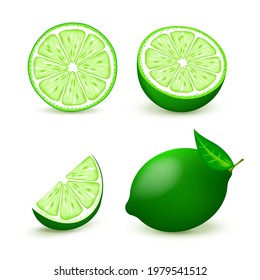 Set slices of lime isolated on white background. Realistic vector illustration