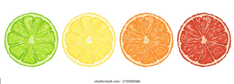 Set of slices lime,lemon,orange and grape fruit isolated on white background illustration vector eps10