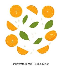 set with slices orange with leaves for menu or recipe.vector illustration on white background.fresh and tasty