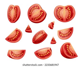 Set of slices of tomato on a white background. Chopped vegetable. Healthy vegetarian food. Vector illustration