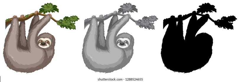 Set of sloth hanging on tree branch illustration
