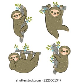 Set of sloths hanging on branches isolated on white background. Vector graphics.