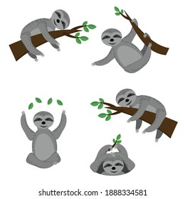 Set of sloths in various poses sitting on branches or surface, lazy animal of gray color in flat style vector illustration