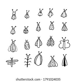 Set of small beetles, butterflies and flies.