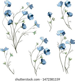 A set of small blue flowers on a white background, bouquets of daisies, flower branches. Hand drawn spring flowers.