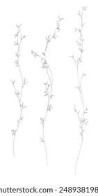Set of small botanical leaves branches with hand drawn in line art. Floral outline element, vector illustration suit for design of tattoo, logo, invitation cards, or coloring pages.