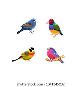 Set of small bright birds. Colorful feathers, beaks and tails. Isolated objects. Vector Icons

