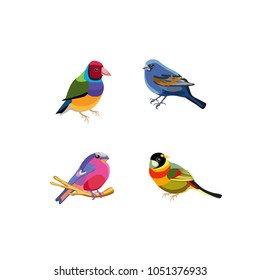 Set of small bright birds. Colorful feathers, beaks and tails. Isolated objects. Vector Icons

