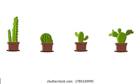 set of small cactus in the pot