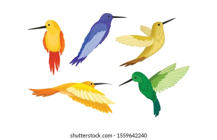 Set Of Small Colorful Hummingbirds Flying And Sitting Vector Illustration