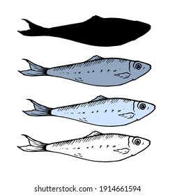 A set of small fish. sprat in different variation of the sketch, the color and silhouette . isolated fish sardine elements black lines in blue and gray painted by hand for your design on a white backg