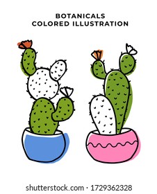 Set of small plants on shelf, flat style design. Vector houseplant with pot. Cactus, bamboo, aloe, baobab, orchid, tulip flower, violet, ?oin tree, other different plants.