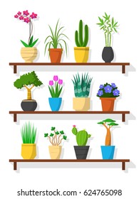 Set of small plants on shelf, flat style design. Vector houseplant with pot. Cactus, bamboo, aloe, baobab, orchid, tulip flower, violet, Coin tree, grass, other different plants. 