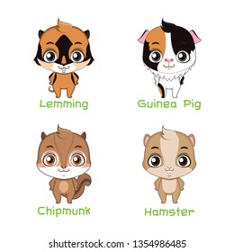 Set of small rodent species