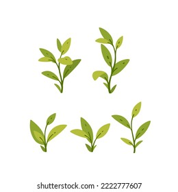 Set of small seedling with green leaves. Flat vector illustration.