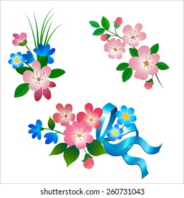 Set of small spring flowers on a white background