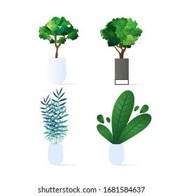 Set of small trees. Houseplant isolated on a white background. Vector illustration