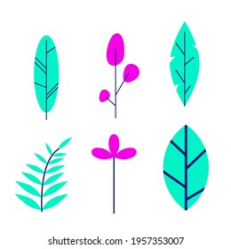 set of small twigs and leaves. Vector drawings, botany