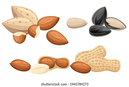 Set of snacks nut almond and sunflower seeds vector illustration on white background