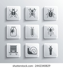 Set Snail, Larva insect, Spider, Centipede, Hive for bees, jar, Beetle bug and  icon. Vector