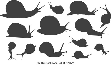 set of snail silhouette, mollusc animal collection