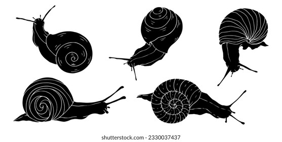 Set of snail silhouettes. Vector graphics.