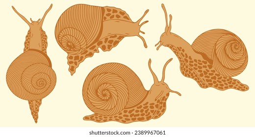 Set of snail silhouettes. Vector graphics.