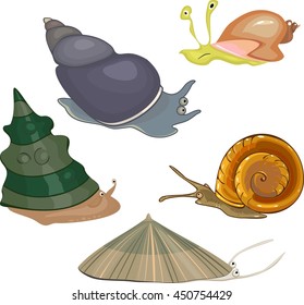 Set of snails
