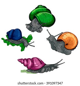 a set of snails with colorful shells
