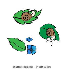 Set of snails on a green leaf, flowers in hand-drawn style, concept about a rainy season. Isolated vector illustration for print, digital and more design.