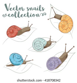 Set of snails with shells drawn from different points of view. Bright palette, cartoon style, isolated on white background. Useful for snail cosmetic products, pet shops, scrapbooking, kids clothes