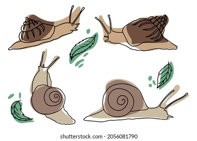 Set of snails in style of sketch, decor leaves. Vector illustration for banner design, packaging, print, textiles.