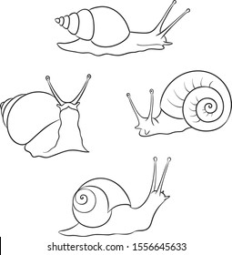Set of snails. Vector illustration. EPS8