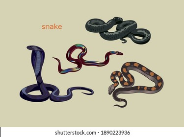 Set snake. Different snakes in vector graphics.