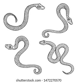 Set of snake drawing illustration. Black serpent isolated on a white background tattoo design. Venomous reptile, drawn witchcraft, voodoo magic attribute for Halloween. Vector