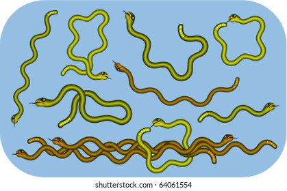 Set of snake images