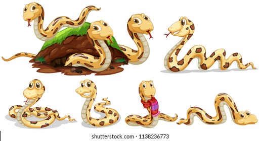 A Set of Snake on White Background illustration
