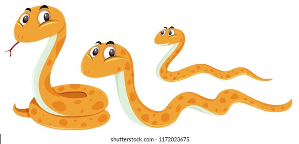 A set of snake on white background illustration
