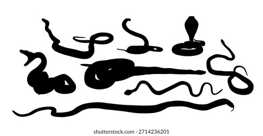 Set of snake vector silhouette vector illustration isolated. Curl snake python attack prey. Dangerous muscular reptile silent killer. Cold blood predator animal. Venom serpent shape. Deadly predator.