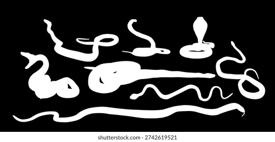 Set of snake vector silhouette vector illustration isolated. Curl snake python attack prey. Dangerous muscular reptile silent killer. Cold blood predator animal. Venom serpent shape. Deadly predator.