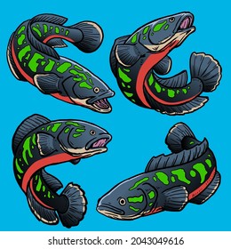 Set of Snakehead fish for gamefish collection