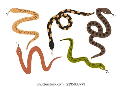 set with snakes with different colors in flat style. vector illustration isolated on white background