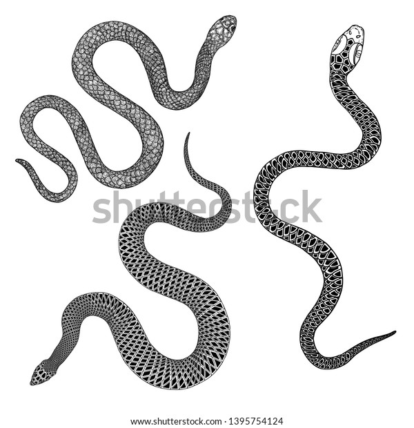 Set Snakes Drawing Illustration Black Serpent Stock Vector (royalty 