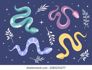Set of snakes. Mystic and esoteric. Animals in bohemian style against background of starry sky. Collection of lizards with plant branches. Religion and occult. Cartoon flat vector illustration