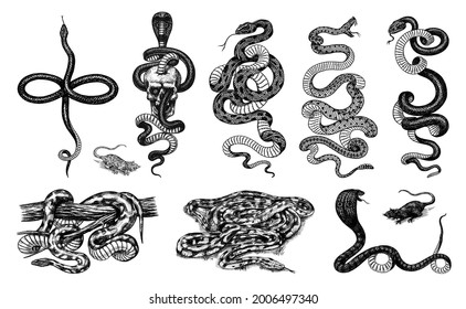 Snake woodcut Images, Stock Photos & Vectors | Shutterstock