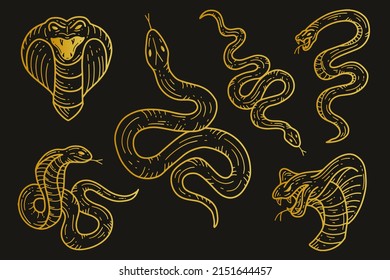 Set of Snakes Viper Venom Black Tattoo Collections illustration