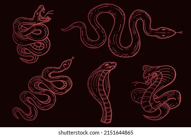 Set of Snakes Viper Venom Black Tattoo Collections illustration