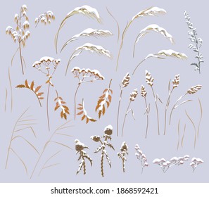 Set of snow covered wild grass, herbs and cereals isolated on gray background. Simple dried oats, thistle, bluegrass, sagebrush and mat grass vector flat illustration. Wilting field plants in winter. 